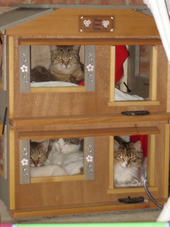 Cozy Cat Furniture - Our cats just love their Outdoor Bungalow from ...